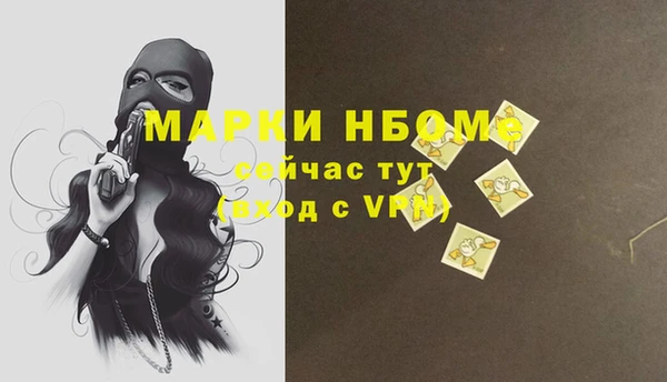 PSILOCYBIN Козловка