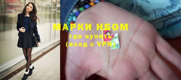 PSILOCYBIN Козловка