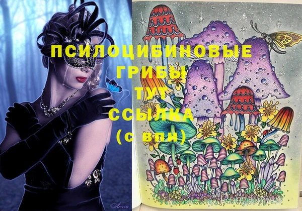 PSILOCYBIN Козловка