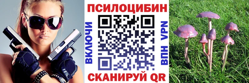 Псилоцибиновые грибы MAGIC MUSHROOMS  Шумиха 